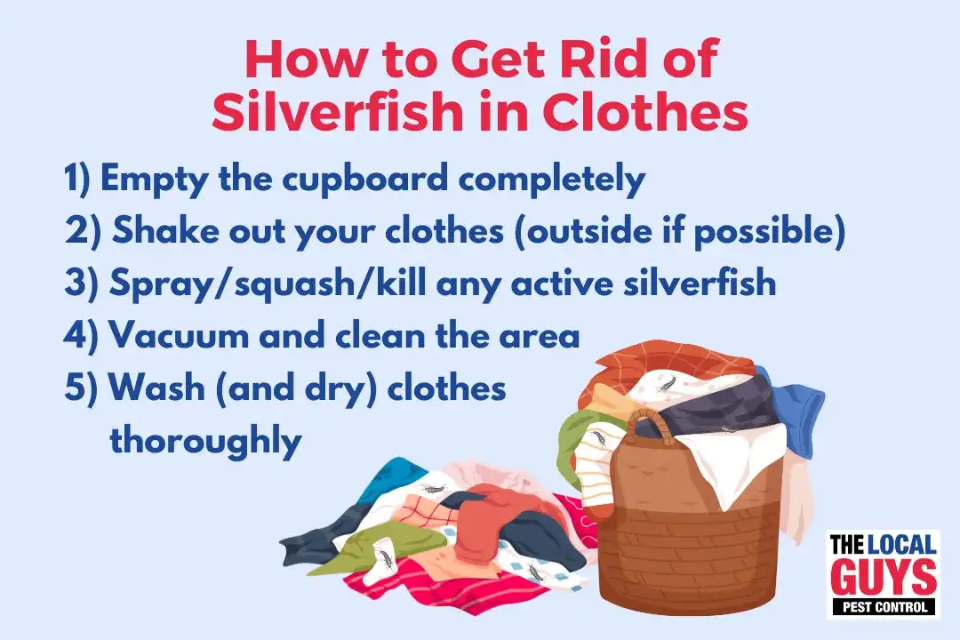 How to get rid of silverfish in clothes, featuring a basket of clothes and step-by-step instructions for effective pest control by The Local Guys Pest Control.