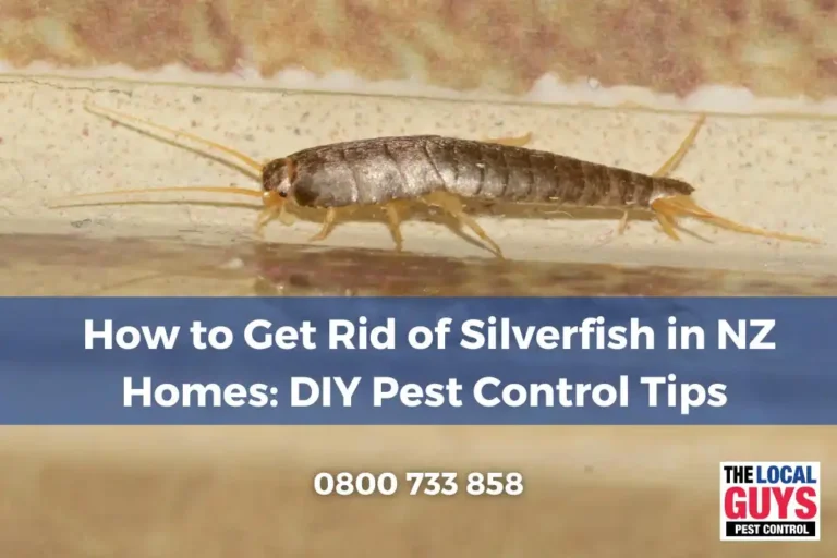 Silverfish insect on a surface with text overlay promoting DIY pest control tips for New Zealand homes, featuring The Local Guys Pest Control contact information.
